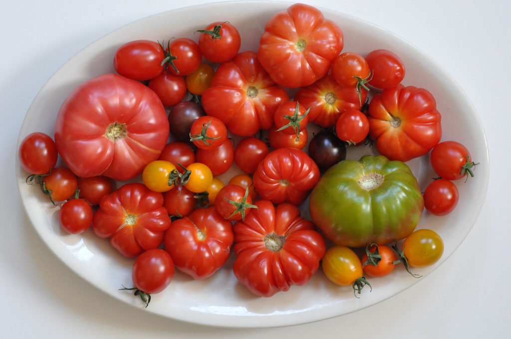 Kitchen Note 100th post. Tomatoes. Zucchini. The